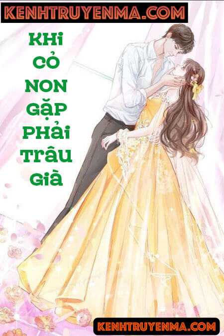 Nghe truyện Khi Cỏ Non Gặp Phải Trâu Già