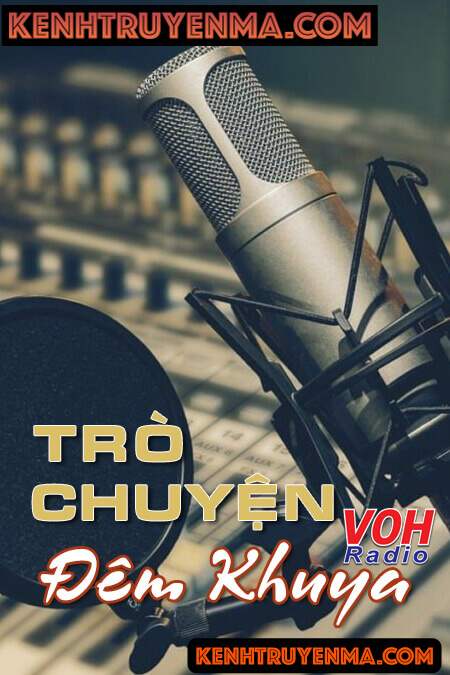 Nghe truyện Trò Chuyện Đêm Khuya VOH: Tình yêu, hôn nhân và gia đình