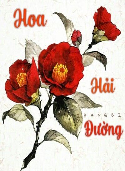 Nghe truyện Hoa Hải Đường