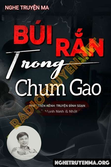 Nghe truyện Búi Rắn Trong Chum Gạo