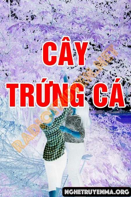 Nghe truyện Cây trứng cá