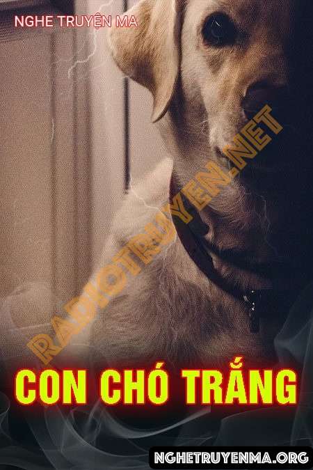 Nghe truyện Con Chó Trắng