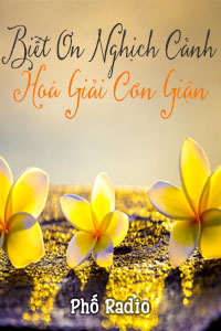 Nghe truyện Biết Ơn Nghịch Cảnh, Hoá Giải Cơn Giận