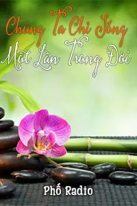 Nghe truyện Chúng Ta Chỉ Sống Một Lần Trong Đời