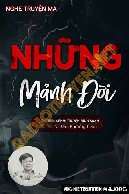 Nghe truyện Những Mảnh Đời - Đình Soạn