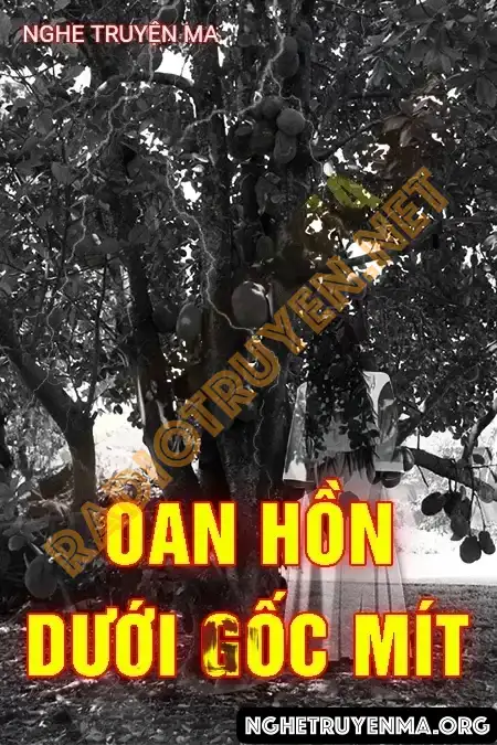 Nghe truyện Oan Hồn Dưới Gốc Mít - Quàng A Tũn