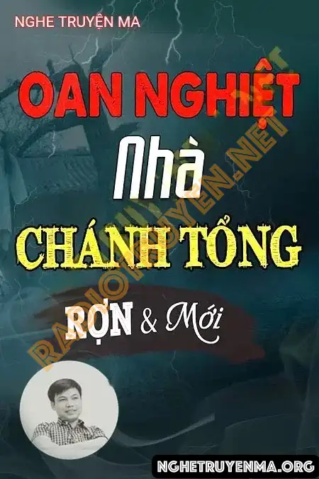 Nghe truyện Oan Nghiệt Nhà Chánh Tổng - Đình Soạn