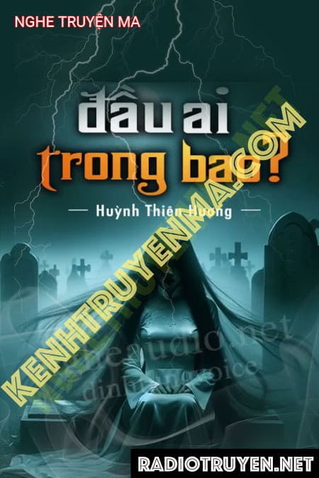 Nghe truyện Đầu Ai Trong Bao